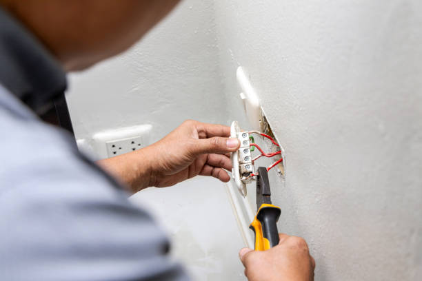 Best Generator Installation Services  in White Cloud, MI