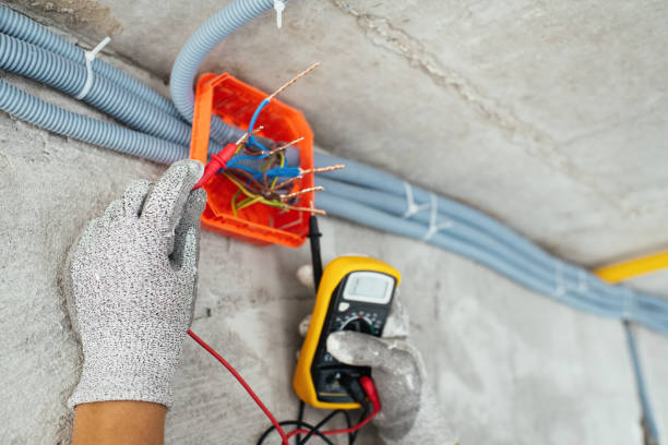 Best Electric Panel Repair  in White Cloud, MI