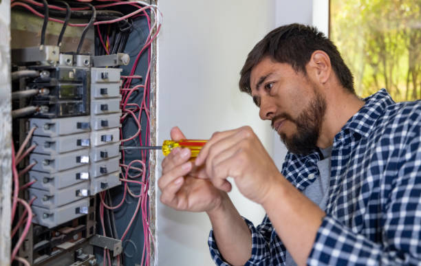 Best Electric Panel Repair  in White Cloud, MI